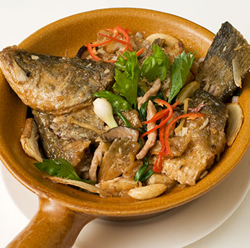 Satued Grouper with Chinese Herbs in Brown Sauce